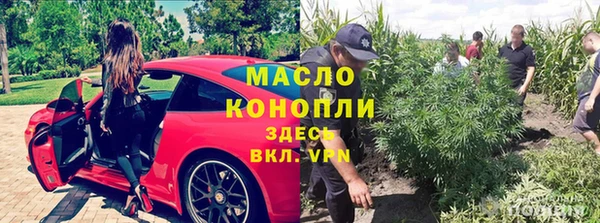 индика Володарск